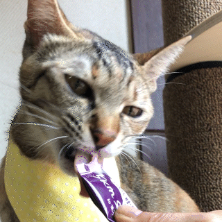 Chicken Breast With Purple Food Snack