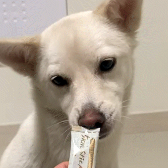 Quail With Honey Snack