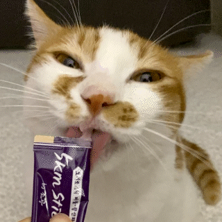 Chicken Breast With Purple Food Snack