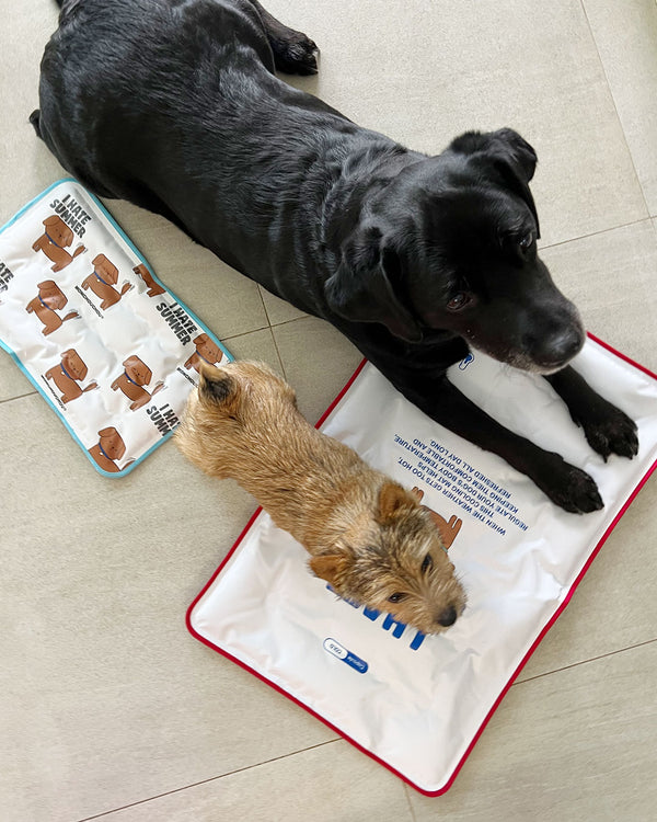 I HATE SUMMER Cooling Mat