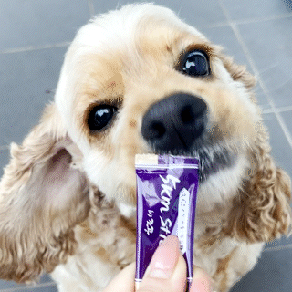 Chicken Breast With Purple Food Snack