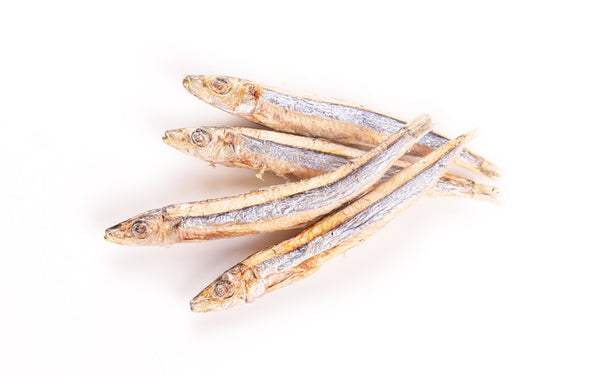 Freeze Dried Silver-Stripe Round Herring
