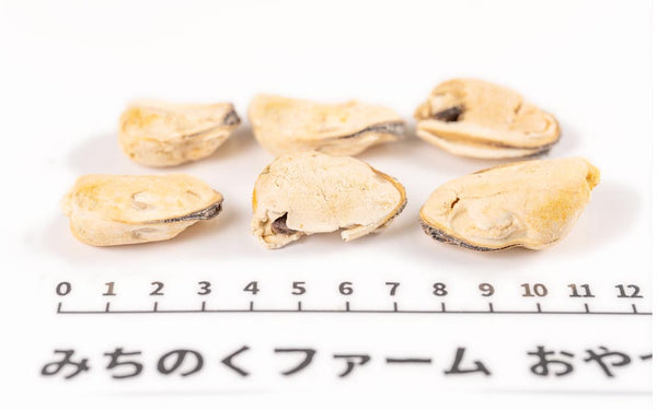 Freeze Dried Mussels