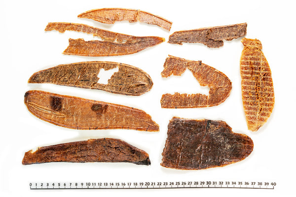 Tuna Roe Jerky
