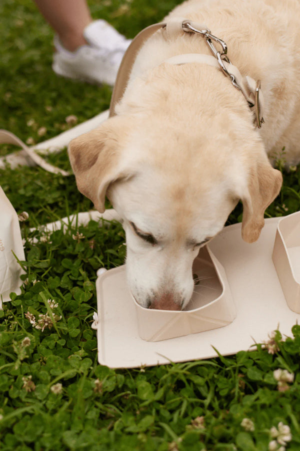 GO! Portable Bowls
