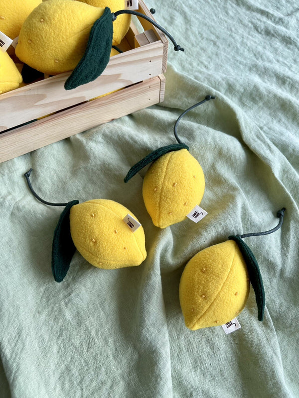 Citrus 3 Set