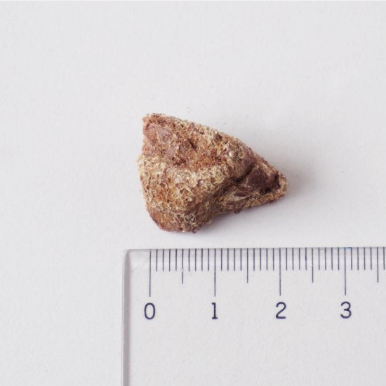 For Pet Freeze Dried Pork Liver