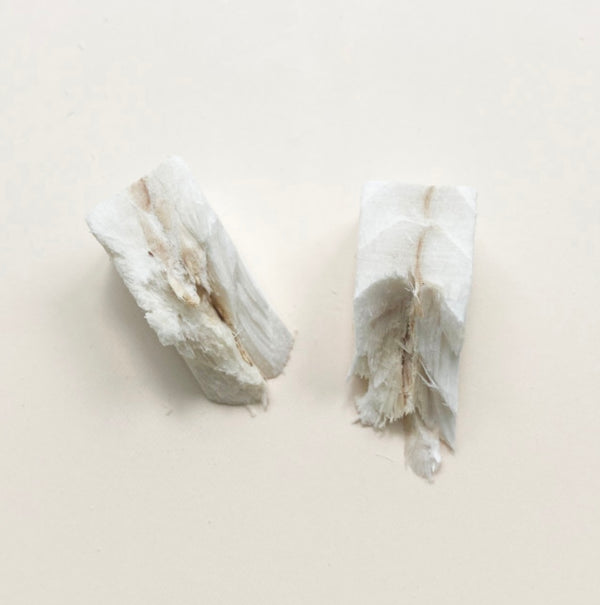 Freeze Dried Alaska Pollock