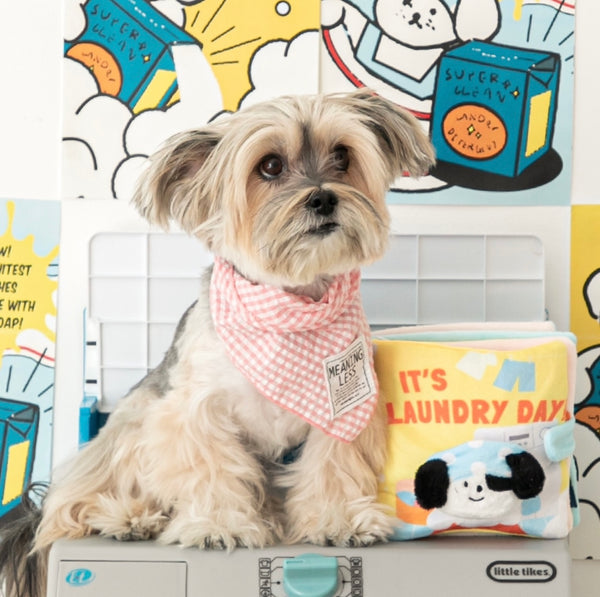It‘s Laundry Day Play Book