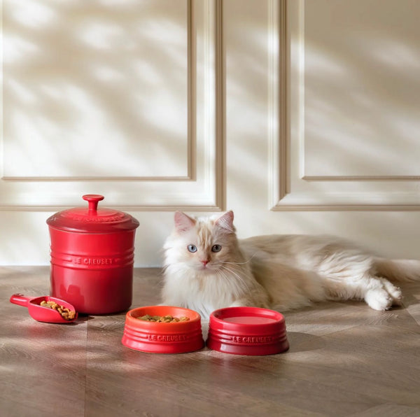 Pet Food Container