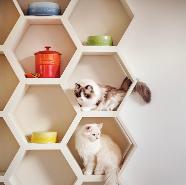 Pet Food Container