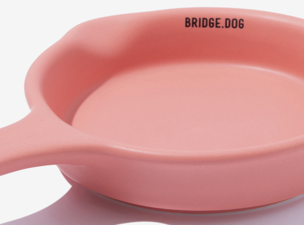 Mini Pan - Coral Pink (Matte)