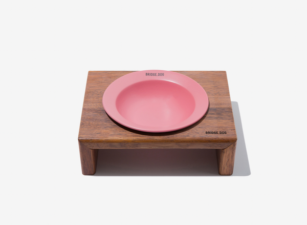 Mini Dish - Coral Pink (Matte)