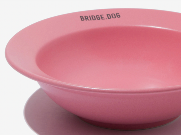 Mini Dish - Coral Pink (Matte)