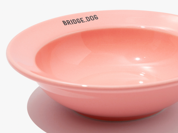 Mini Dish - Peach Pink (Glossy)
