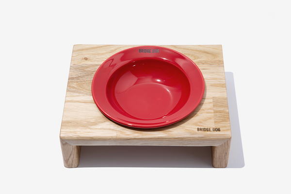 Mini Dish - Red (Glossy)