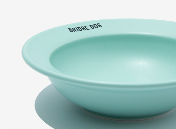 Mini Dish - Mint (Matte)