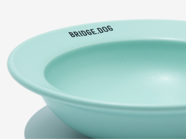 Mini Dish - Mint (Matte)
