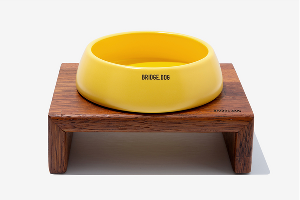 Bridge Ladder - Yellow (Matte)