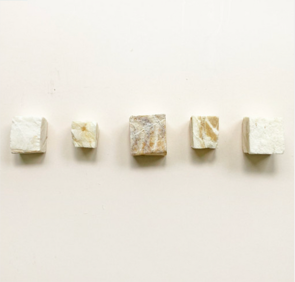 Freeze Dried Pacific Cod