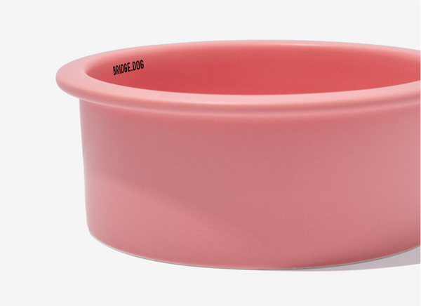 Big Bowl - Coral Pink (Matte)