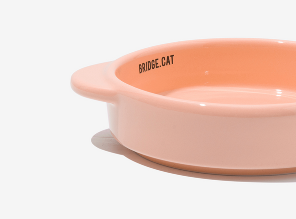 Cat Mini Pot - Peach Pink (Glossy)