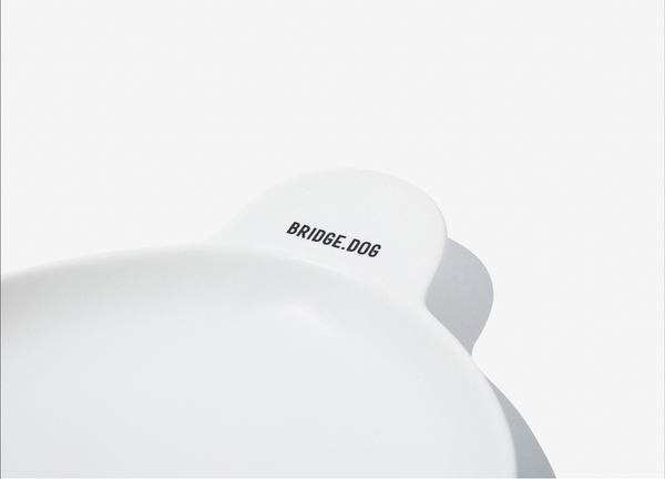 Bear Dish - White
