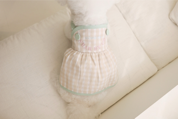 Picnic Dress
