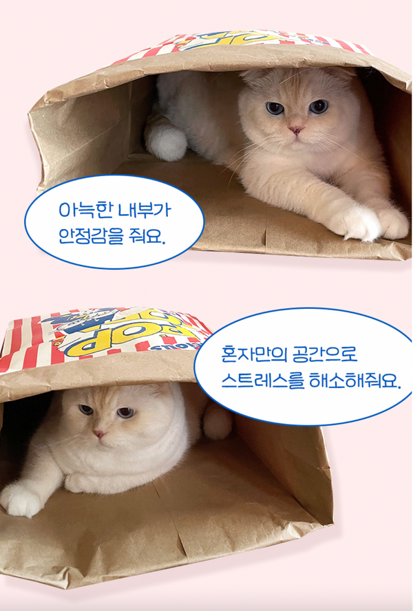 Popcorn Breath and Hide Set