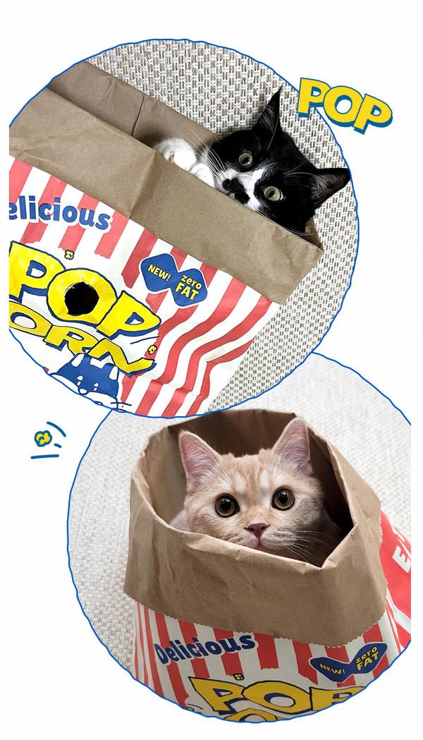 Popcorn Breath and Hide Set