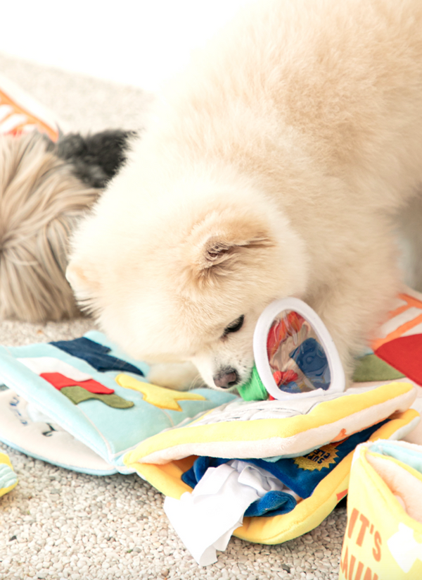 It‘s Laundry Day Play Book