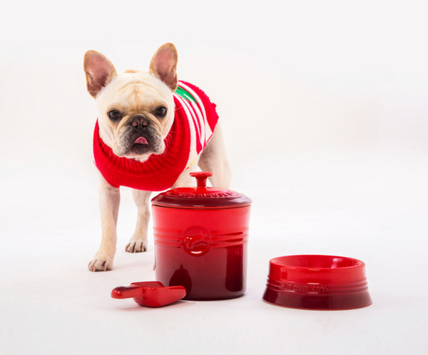Pet Food Container