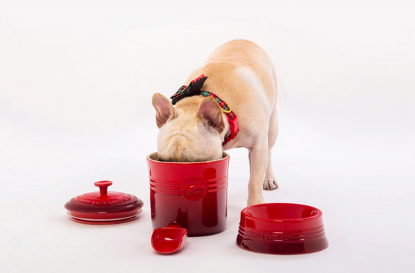 Pet Food Container