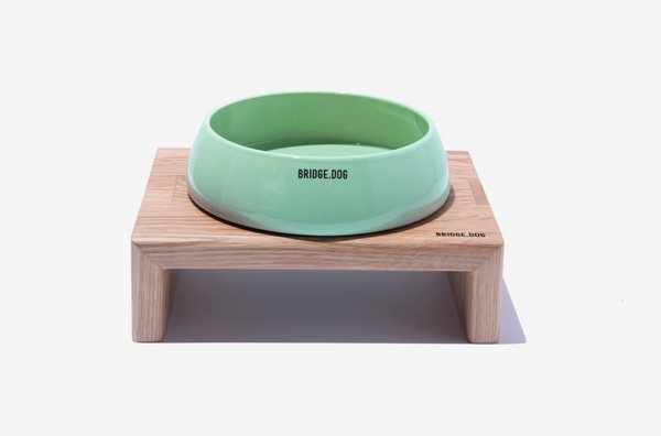 Bridge Ladder - Mint (Glossy)