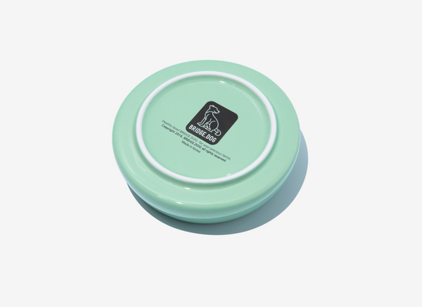 Bridge Ladder - Mint (Glossy)