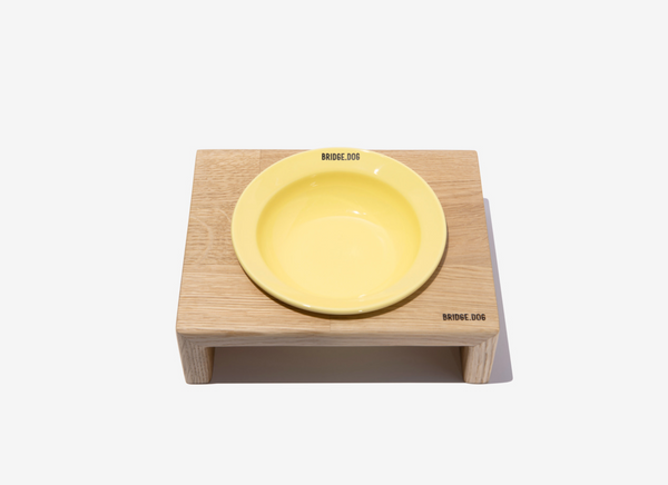 Mini Dish - Baby Yellow (Glossy)