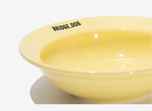 Mini Dish - Baby Yellow (Glossy)