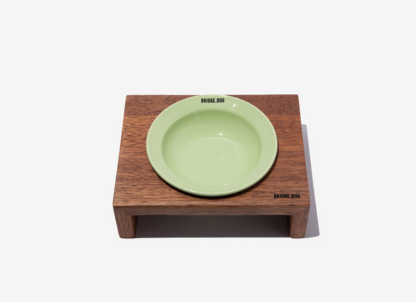 Mini Dish - Baby Green (Glossy)