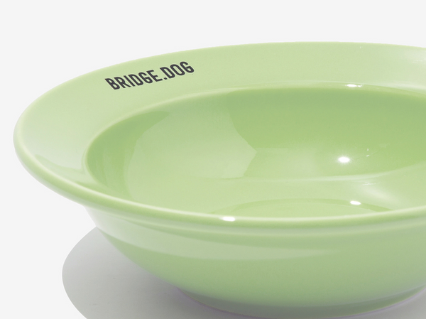 Mini Dish - Baby Green (Glossy)