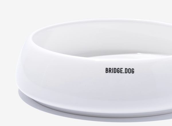 Big Ladder - White (Glossy)