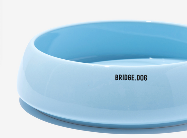 Big Ladder - Baby Blue (Glossy)