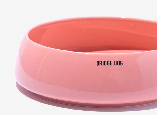 Big Ladder - Coral Pink (Glossy)