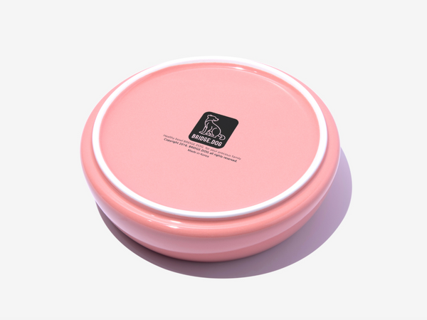 Big Ladder - Coral Pink (Glossy)