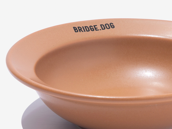 Mini Dish - Caramel (Matte)