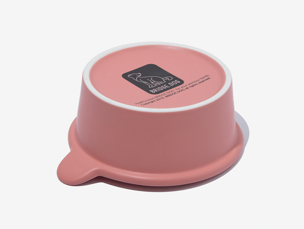 Mini Bowl - Coral Pink (Matte)