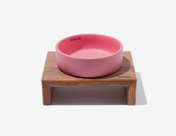 Basic Bowl - Coral Pink (Matte)