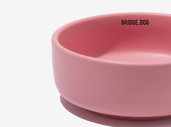 Basic Bowl - Coral Pink (Matte)