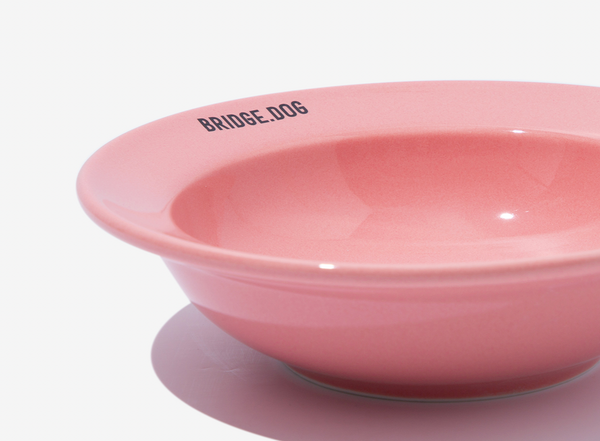 Mini Dish - Coral Pink (Glossy)