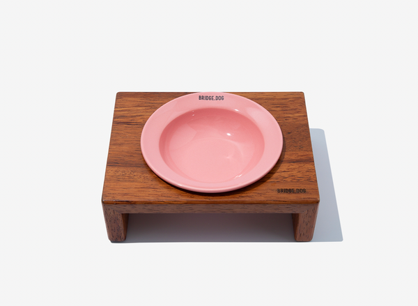 Mini Dish - Coral Pink (Glossy)
