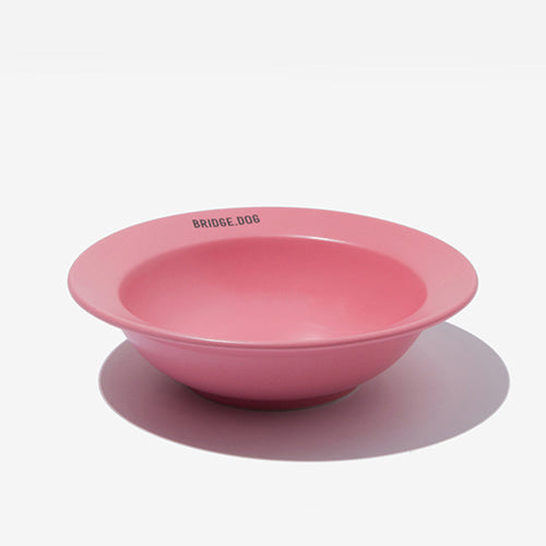 Mini Dish - Coral Pink (Matte)